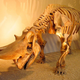 Illustration for article titled Top 10 Prehistoric Mammals That Were Way Cooler Than Dinosaurs